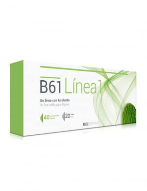 B61 Línea 1